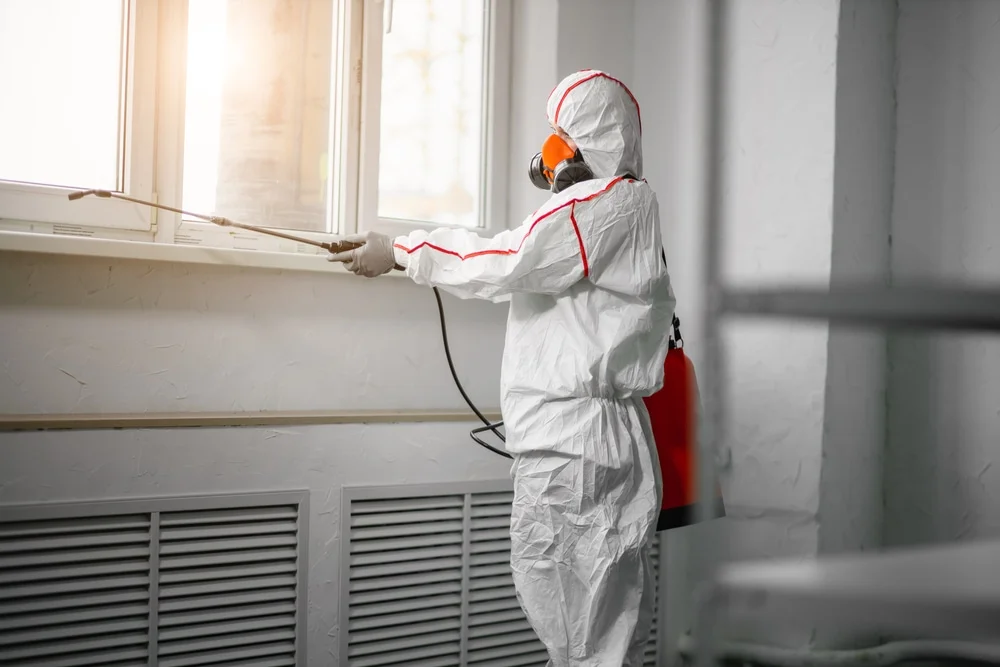 Professional mold remediation services in Montague, NJ